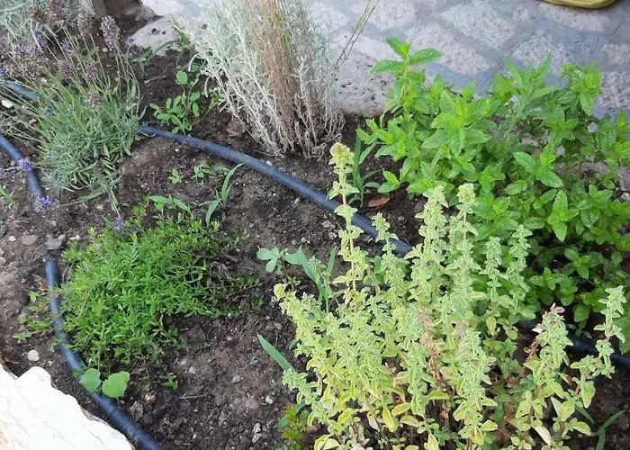 Casa Linda シャレー